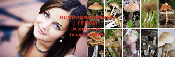 марихуана Алексин