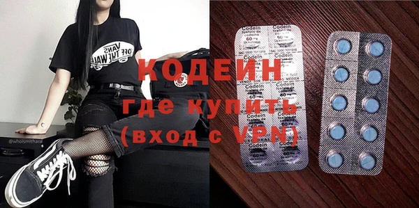 индика Абаза