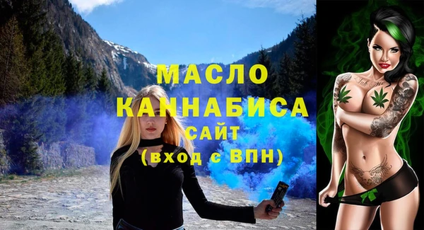 индика Абаза