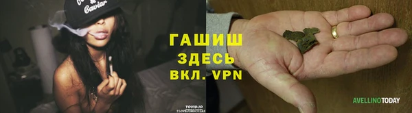 индика Абаза