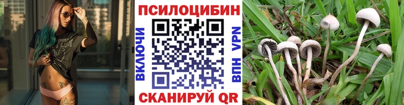 Галлюциногенные грибы GOLDEN TEACHER  купить наркоту  Элиста 